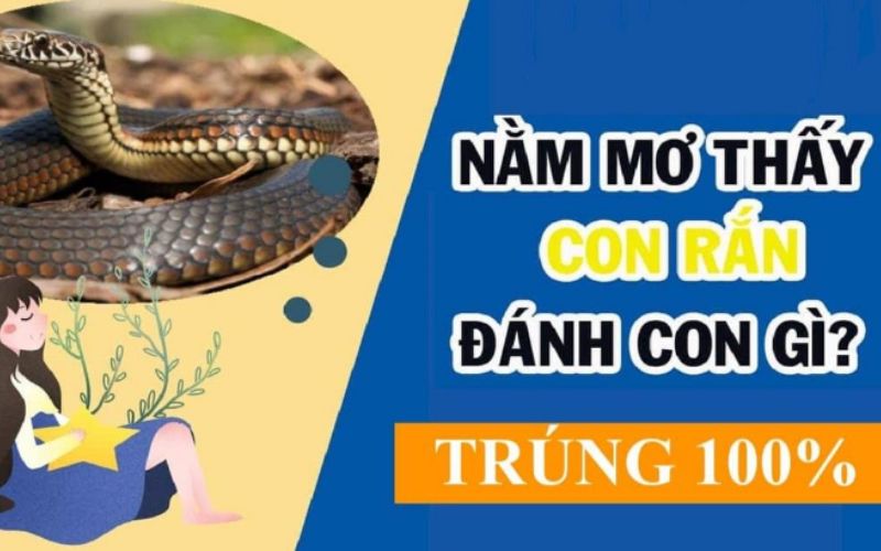 Nằm mơ thấy rắn là điềm hên hay xui?