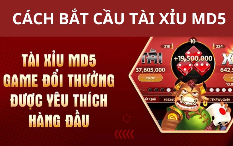 Chiến thuật bắt cầu bao trúng 